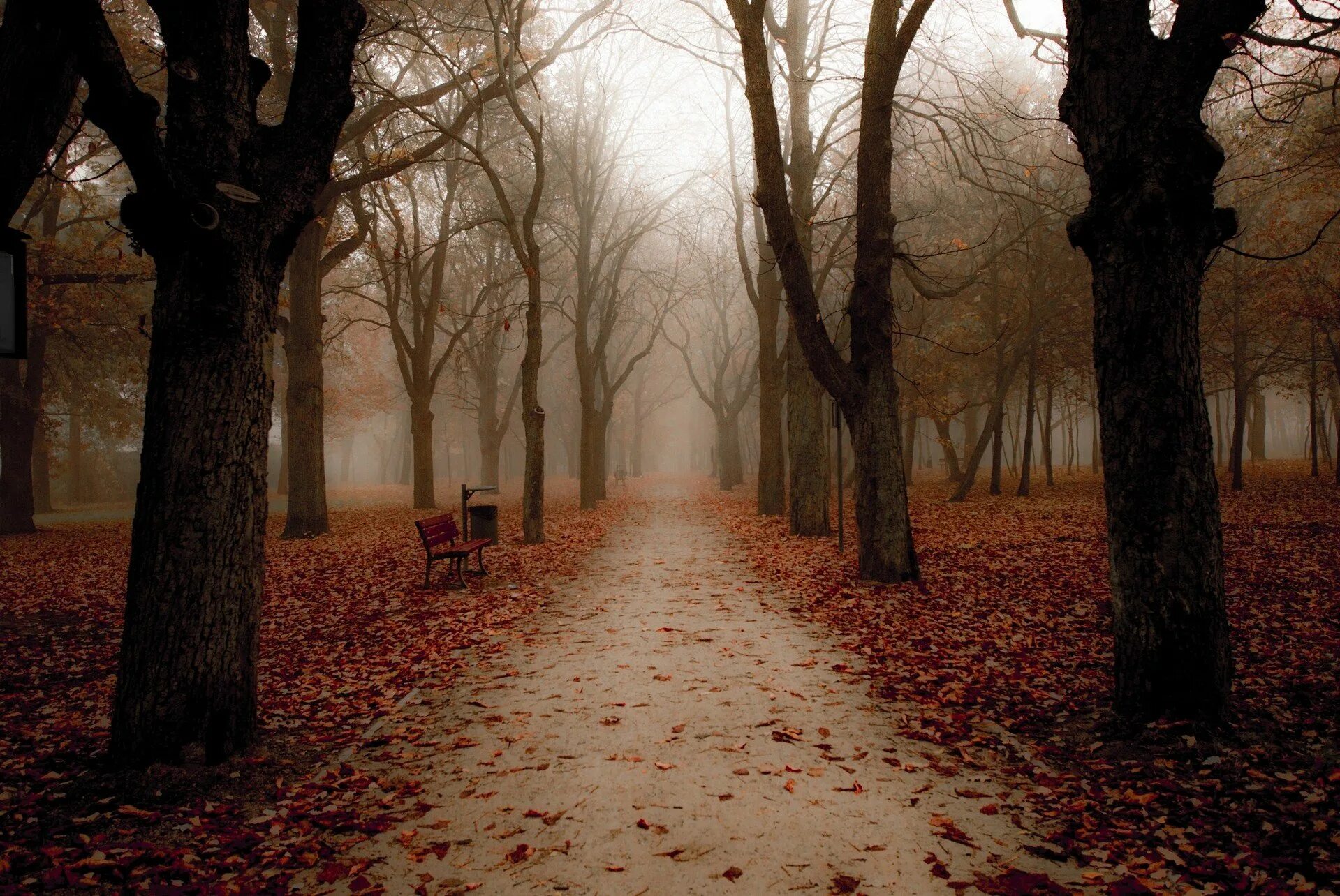 Холодная осень части. Мрачный осенний парк. Мрачный пейзаж. Хмурый осенний парк. Осень в парке.