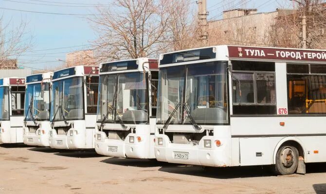 Сколько автобусов в туле