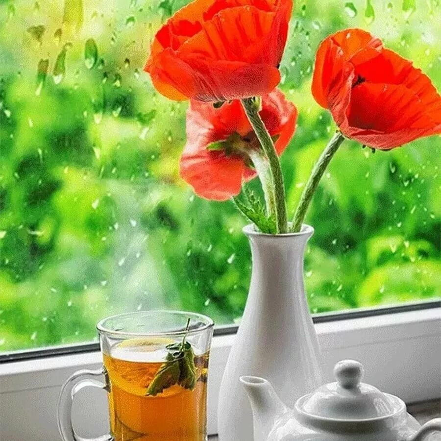 Доброго летнего дня. Прохладненский лимонад. Прохладительные напитки в стаканчиках. Приятно прохладный. Благословенного летнего вечера с пожеланиями.