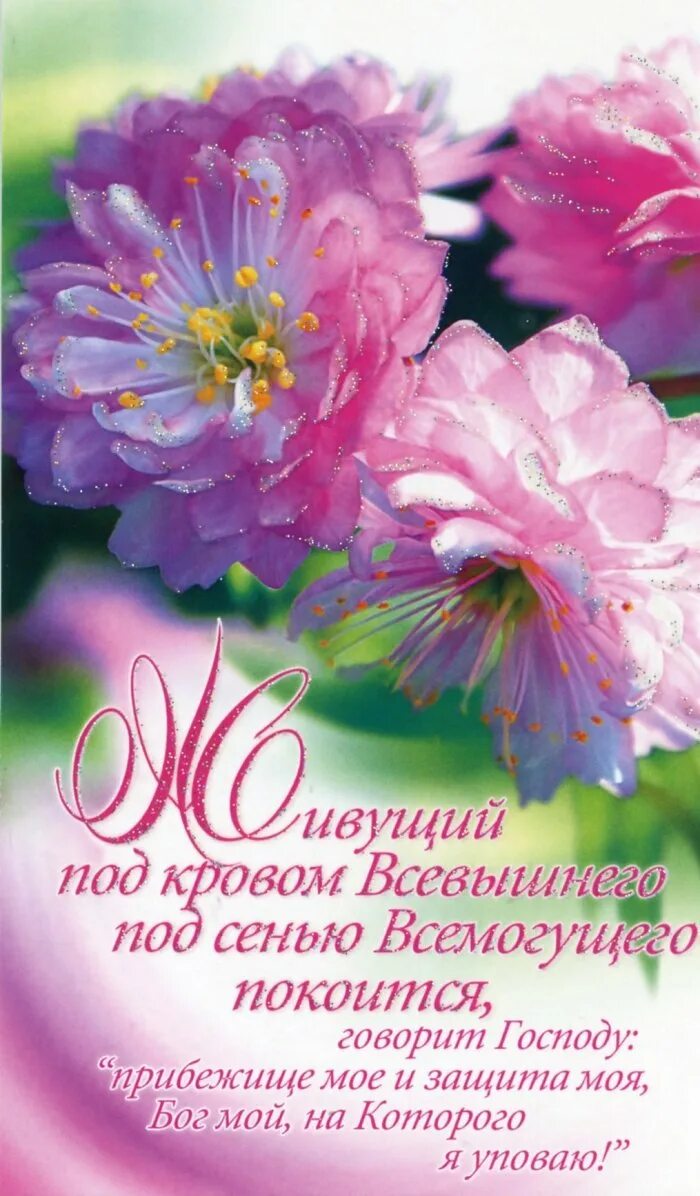 Христианские пожелания. Поздравление с днем рождения стих из библии. С днём рождения христианские поздравления. Христианские пожелания. Христианский стих на др.