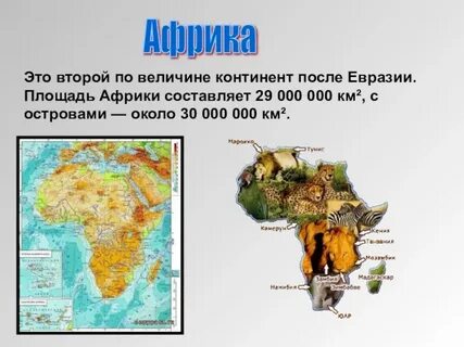 Площадь африки америки