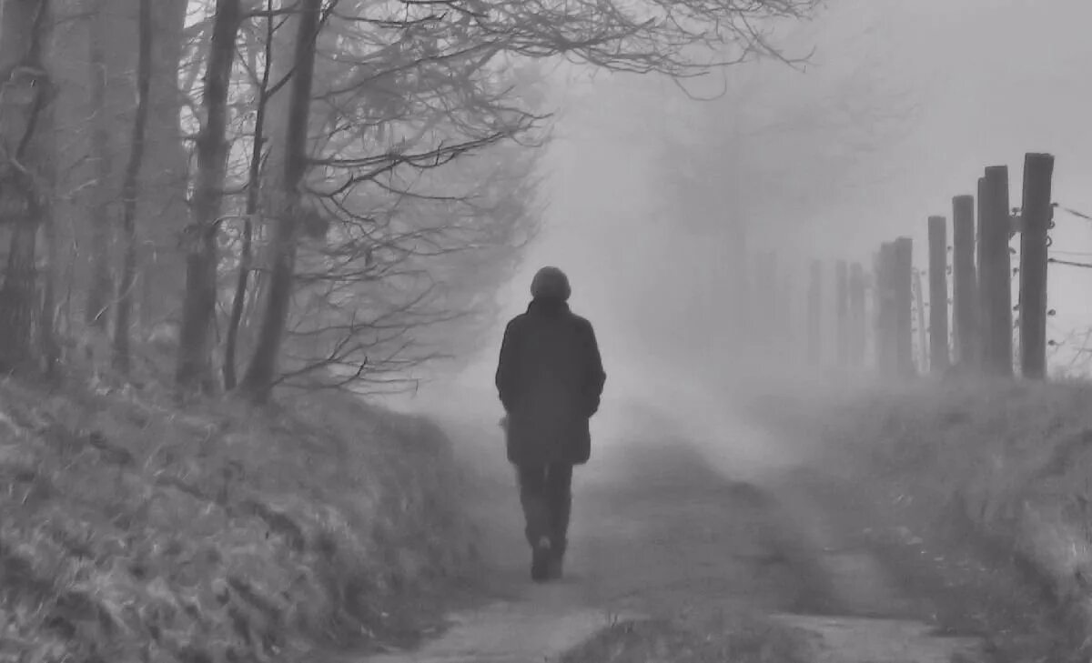 The man from the fog 1.2
