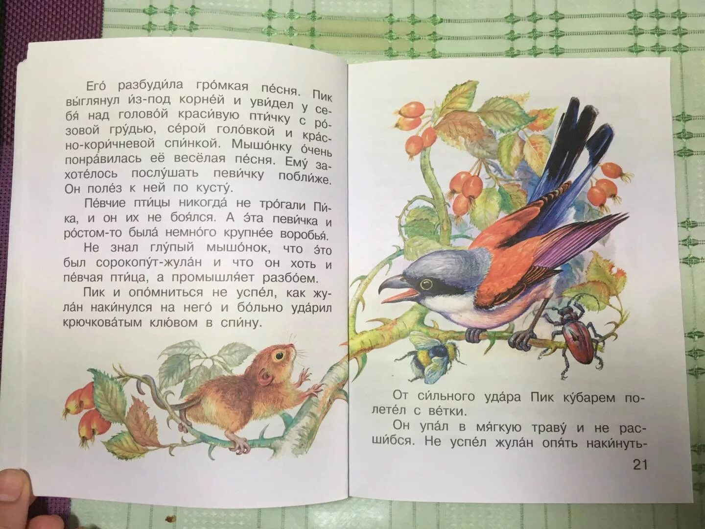 Бианки мышонок пик текст распечатать. Рассказ виталия бианки пик. бианки в. &quot;мышонок пик сказки&quot;. бианки мышонок пик продолжение сказки. мышонок пик книга.