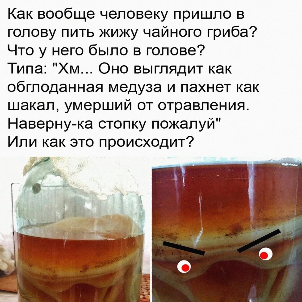 Чаю мертвых