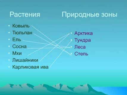 Проверочная тундра