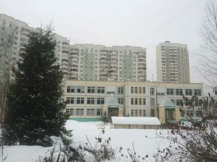 Барышиха 49