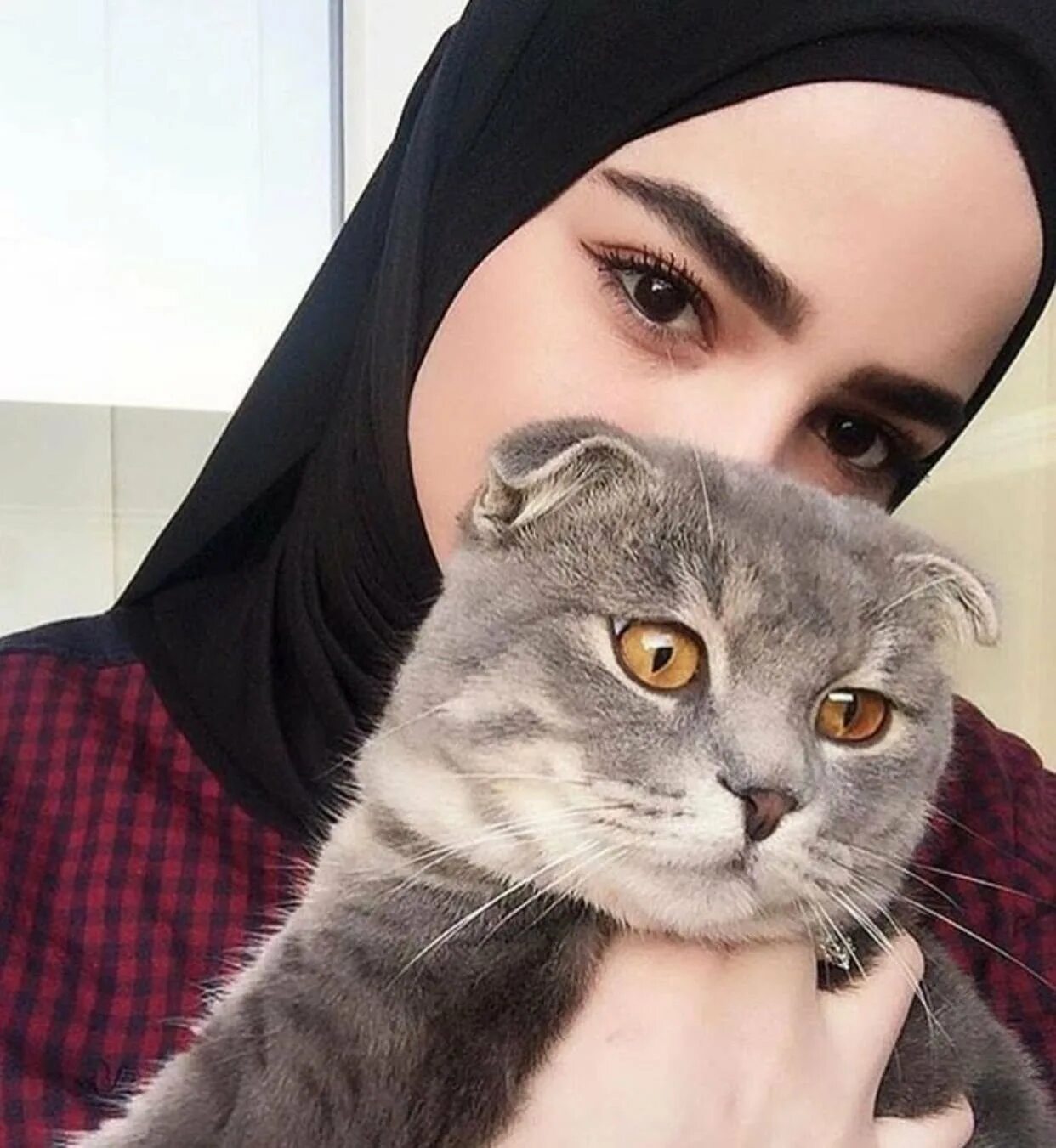 Мусульманский кот. Мадина Арабова. Салихат Касумова никаб.