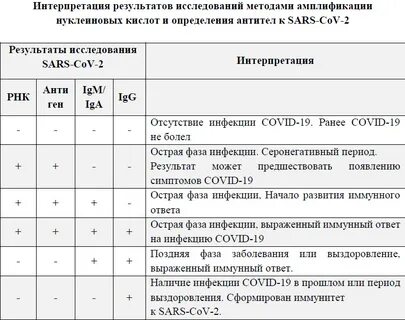 Результаты дополнительных исследований