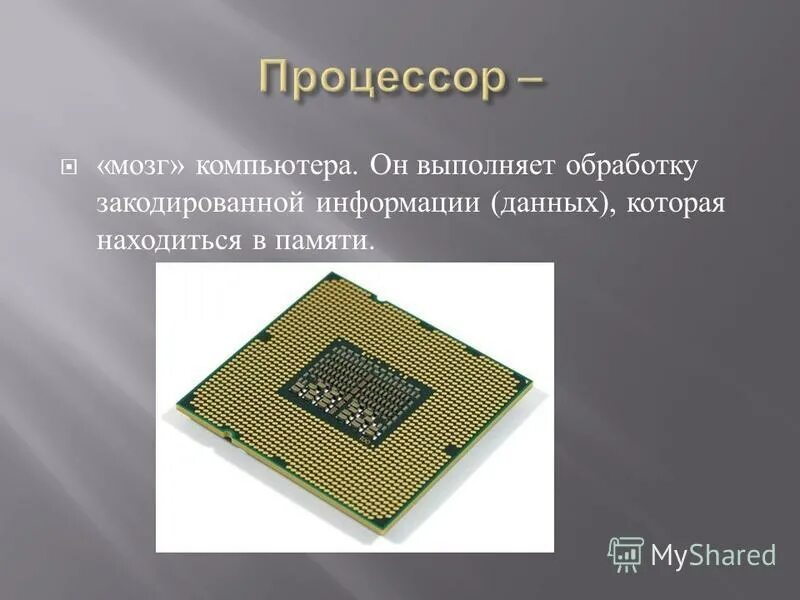 процессор это мозг компьютера. процессор предназначен для. мозг компьютера устройство выполняющее логические. процессор мозг компьютера презентация. логические процессоры что это.