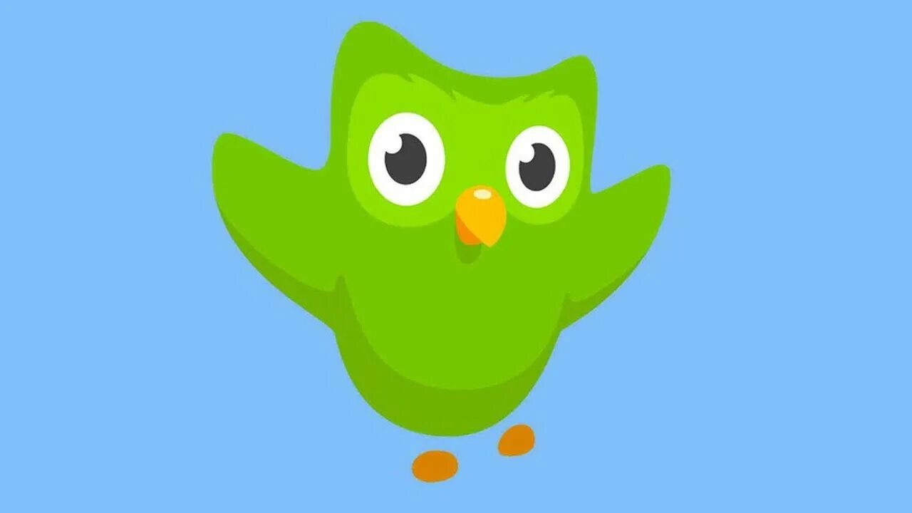 Duolingo рисунок. Duolingo персонажи. Дуолинго логотип. Duolingo Сова. 18 duolingo