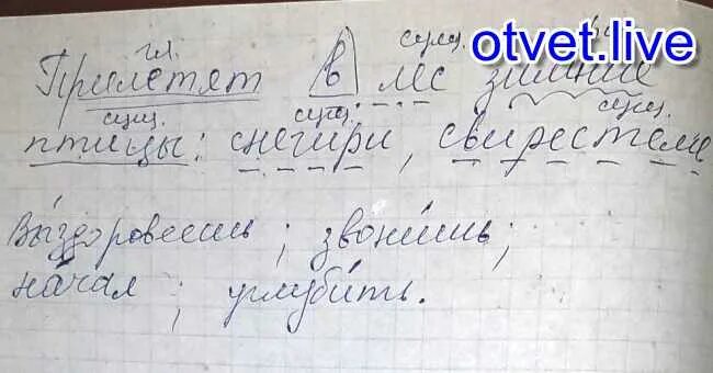 Синтаксический разбор птицы. Прилетят в лес зимние птицы Снегири свиристели синтаксический разбор. Прилетят в лес зимние птицы синтаксический разбор. Птица синтаксический разбор. Свиристели синтаксический разбор.