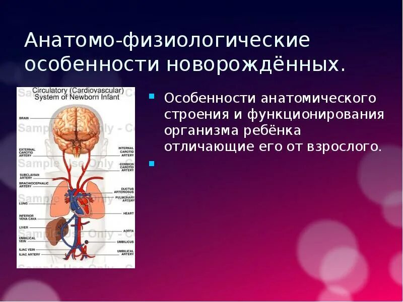 Анатомо физиологическая система. Анатомо-физиологические особенности новорожденного ребенка. Анатомо физиологические особенности новорождённых. Анатомо-физиологические особенности новорожденного ребенка таблица. Анатомо-физиологические особенности.