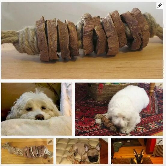 Как сделать самодельную собаку Kelley's Dog Blog: Jedi Plays Spin the Bottle Diy dog stuff, Diy dog crate, Dog