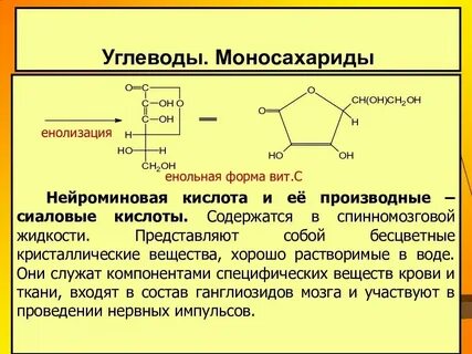 Липиды моносахариды растворимы в воде гидрофобны