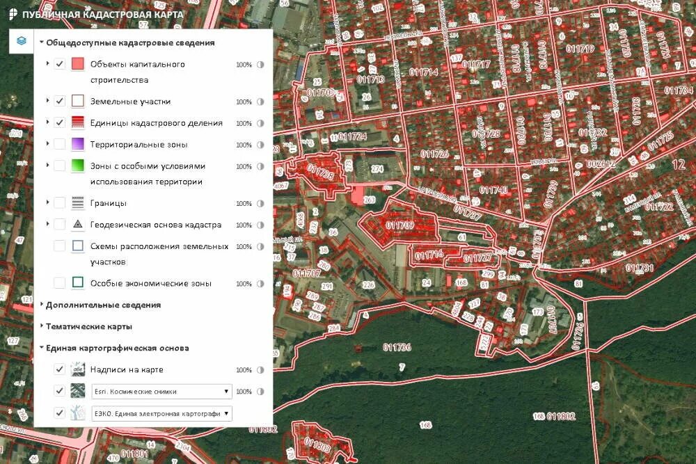 Единая картографическая основа Росреестра. Кадастровая карта. Публичная кадастровая карта. Карта публичная кадастровая карта.