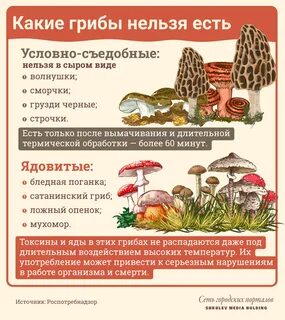 Почему нельзя мыть грибы