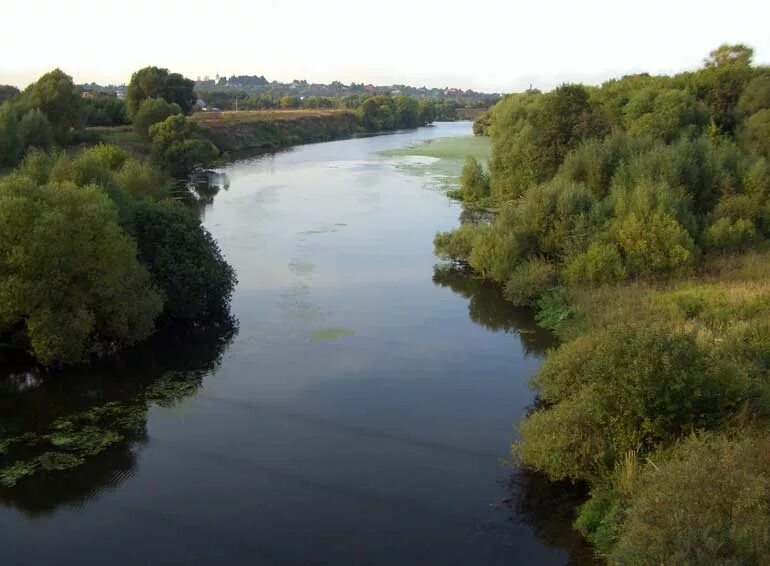 пахра река реки москвы. пахра река реки москвы. река пахра подольск дубровицы. река пахра троицк. река пахра домодедовский район.