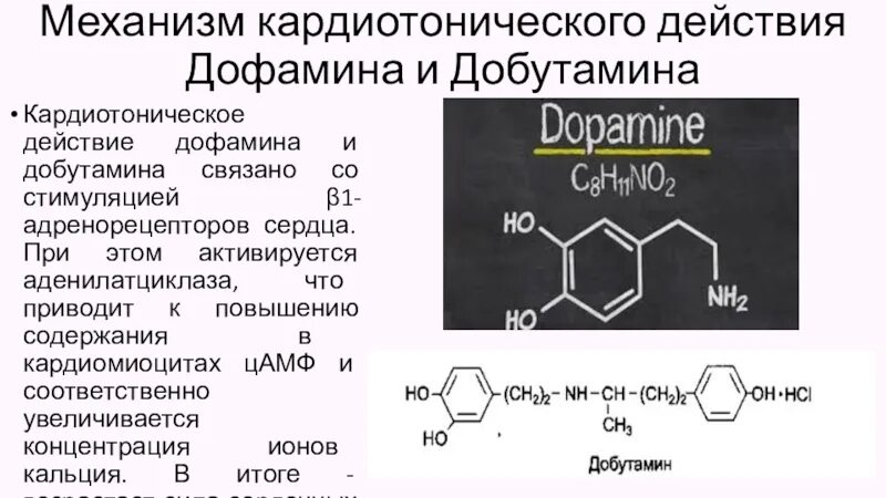 В каких продуктах содержится дофамин. Дофамин эффекты. препараты для повышения дофамина. дофамин вещества для повышения. серотонин антагонист дофамина.
