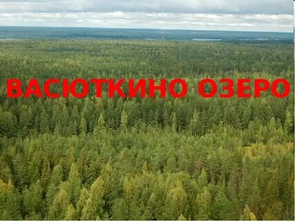 Озеро васи