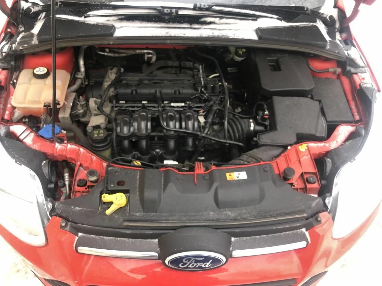 Двс форд фокус 2 2. Двигатель ford focus 2 1. Форд фокус 2 двигатель 1. Дизелит мотор форд фокус. Двигатель форд фокус 2 1.