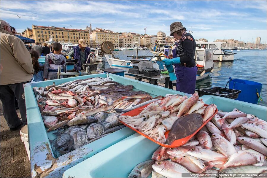 Купили на рынке рыбу. Старый порт рыбный рынок в Марселе. Рыба на рынке. Рыбный рынок в порту.