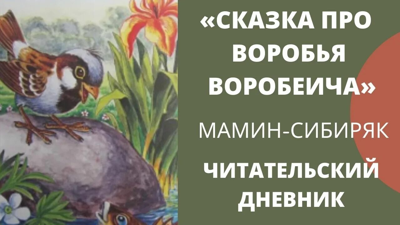 Ерш ершович читательский дневник. Мамин Сибиряк сказка про воробья Воробеича. Мамин Сибиряк про воробья Воробеича читательский дневник. Мамин Сибиряк сказка о Воробье воробеиче и Ерше Ершовиче. Иллюстрации к сказке Мамина Сибиряка про воробья Воробеича.