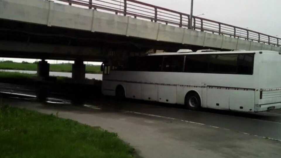 Автобус в питере мост. Автобус под мостом глупости. мост дураков на софийской в спб. мост глупости спб. автобус на мосту.