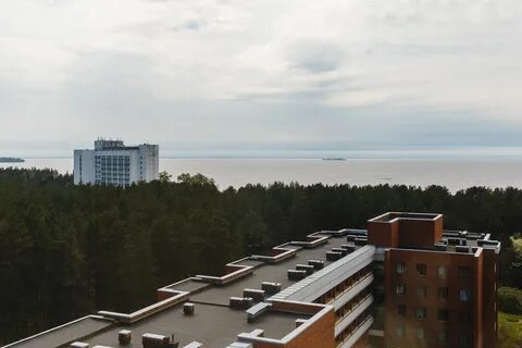 Санатории г сестрорецка