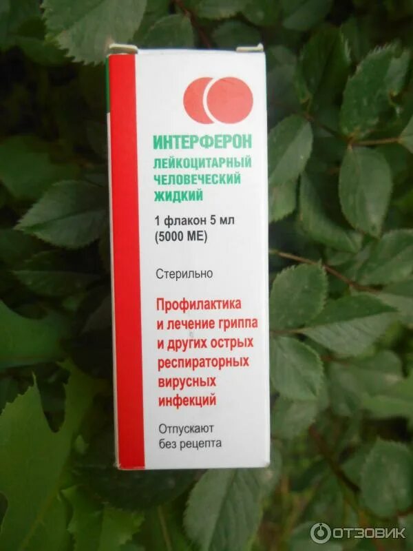 Интерферон капли аналоги. Интерферон человеческий капли. интерферон лейкоцитарный человеческий жидкий. противовирусные препараты интерферон. интерферон биомед.