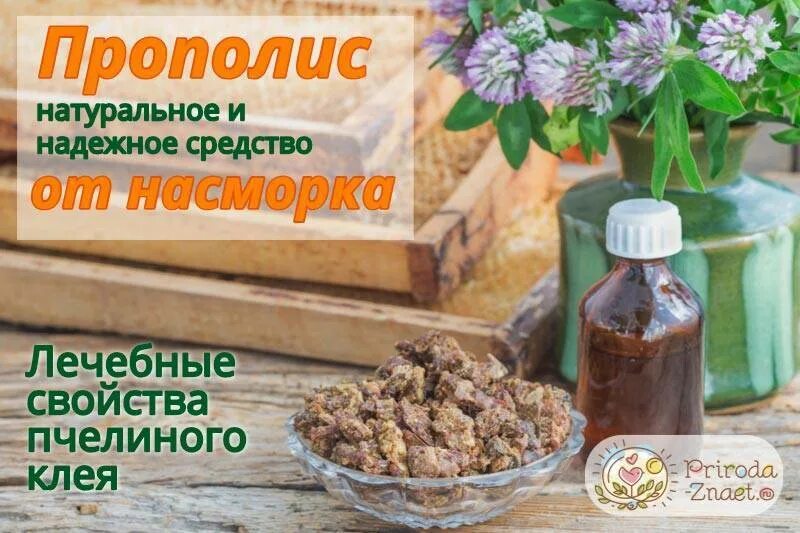 Прополис ремелис. Прополиса настойка бэгриф. Капли в нос с прополисом. Прополис от насморка. Экстракт прополиса с маточным молочком.