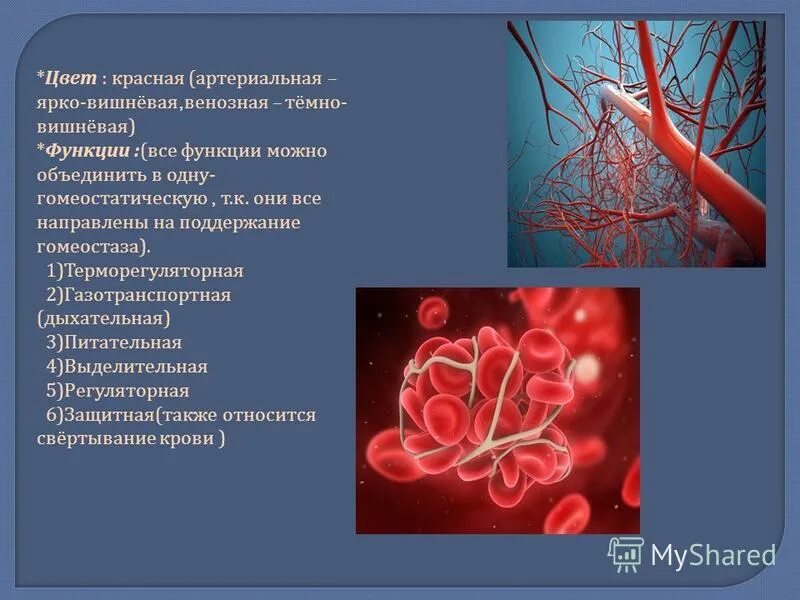 Особенность артериальной крови. Венозная и артериальная кровь цвет. Артериальная кровь цвет.