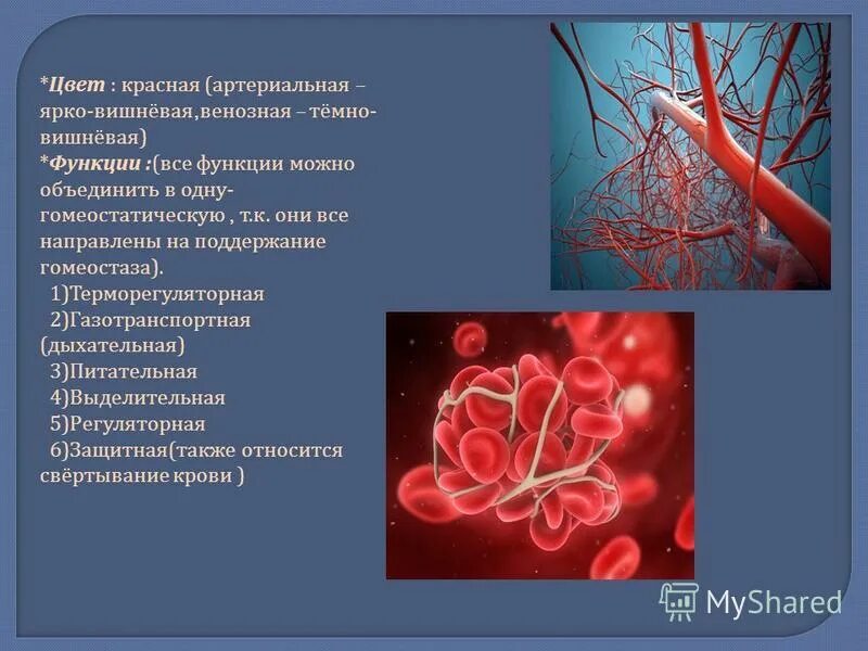 Почему кровь темная из вены. Венозная и артериальная кровь цвет. Артериальная кровь цвет.