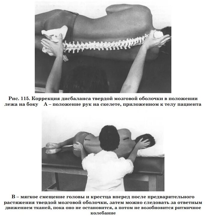 Примеры закона геринга в остеопатии Image from page 305 of "Text-book of massage and remedial . Flickr
