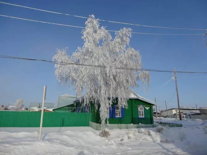 Назарово тюменская область. С.конево абатского района тюменской обл. конево тюменская область деревня. село конево абатский район. конево абатский тюменская.
