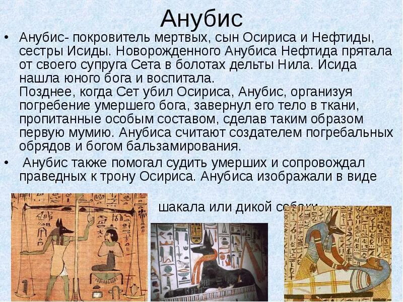 Сын осириса. Анубис бог египта кратко. сын осириса и исиды. анубис сын сета и нефтиды. сообщение про бога анубиса.