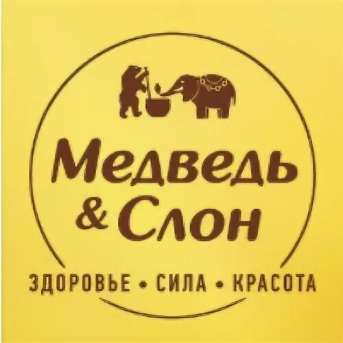 Медведь и слон