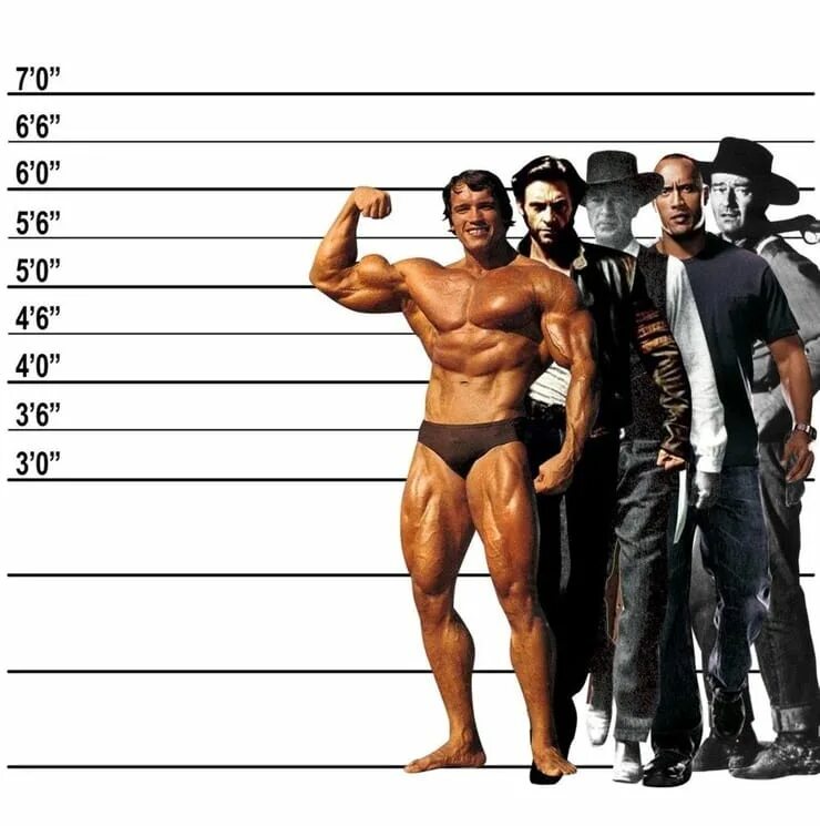 Height 6 1
