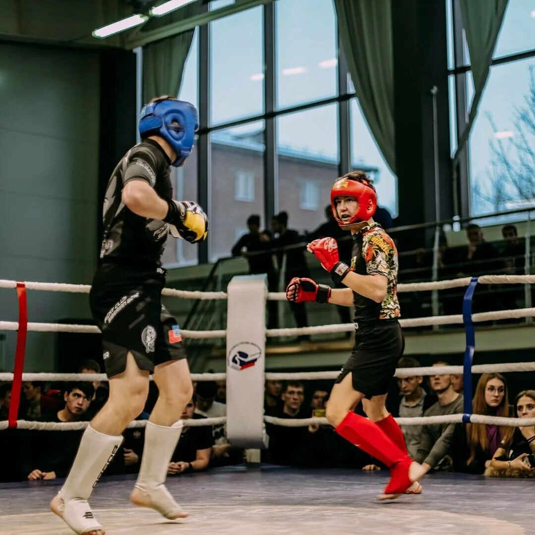 клуб смешанных единоборств феникс иркутск. смешанные единоборства иркутск. мма иркутск новоленино. смешанные единоборства. сибирский медведь мма.