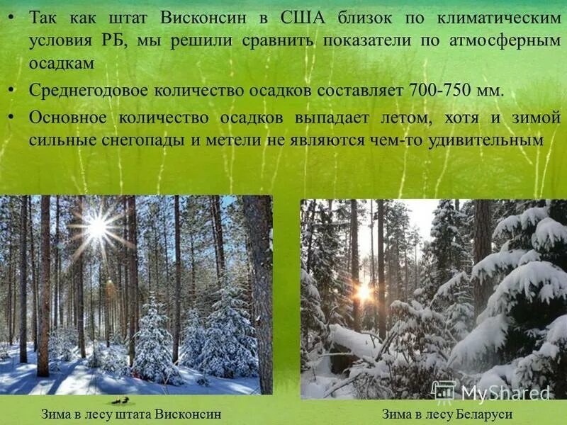 городской климат острова тепла. учет климатических условий это. таблица оценка климатических условий. умеренный климат условия жизни человека. погодные условия влияют на безопасность дорожного движения.