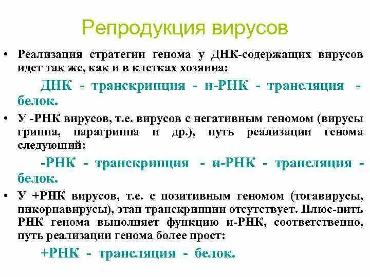 Геномные рнк. Особенности репродукции ДНК содержащих вирусов. Особенности репродукции ДНК- И РНК- вирусов.. Репродукция ДНК содержащих вирусов последовательность. Этапы репродукции ДНК- И РНК-содержащих вирусов..