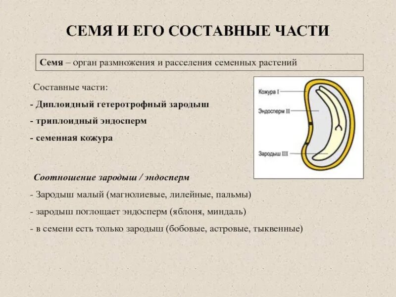 Орган размножения и расселения. Составные части семени. Семя это орган размножения. Семя орган размножения и расселения растений. Составные части зародыша.