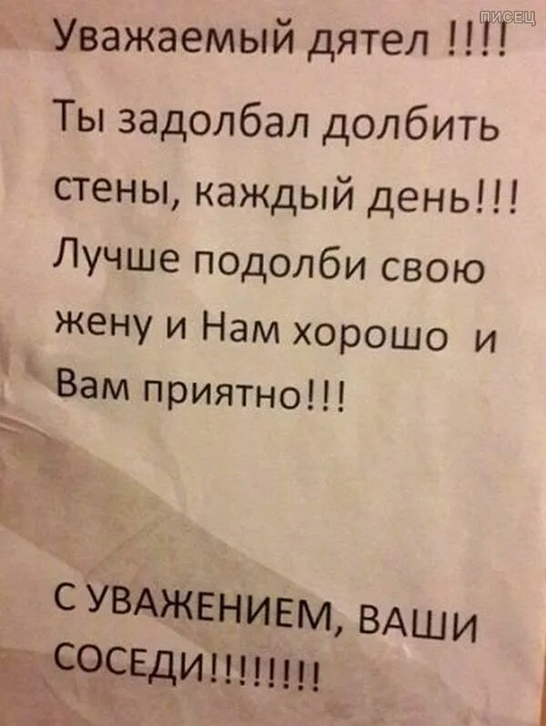 Сверлит прибыв нет конусов загодя донельзя. Сосед дятел. письмо соседу дятлу. объявление про сверлящего соседа. сосед сверлит каждый день.