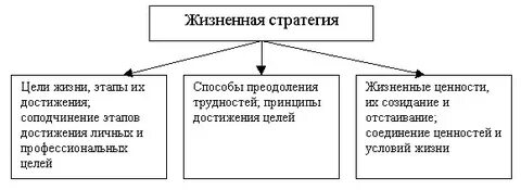 Стратегия жизни личности