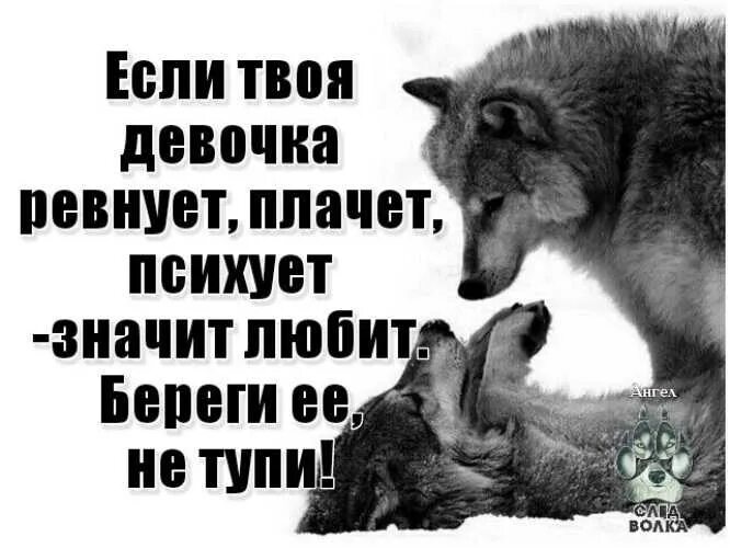 Что делать если ревнуешь девушку. Статусы с волками. Если женщина ревнует значит любит. Статусы про ревность. Статусы с волками со смыслом.