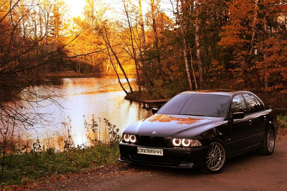 5 series e39. BMW e39. BMW 5 Series (e39). БМВ е39 4.4. BMW e39 осень.