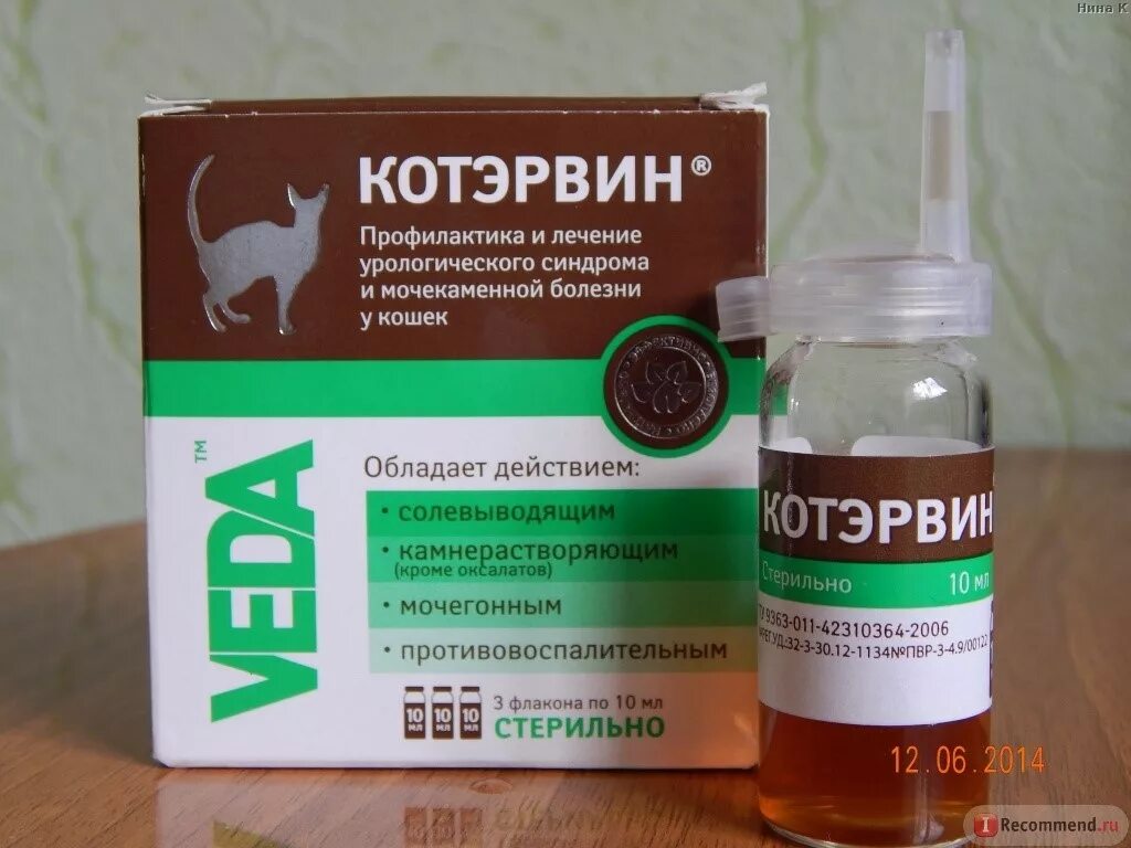 Мочегонное для кошек. Препараты от мочекаменной болезни у котов. Котэрвин капли. Котэрвин при мочекаменной болезни у котов. Котэрвин 3.