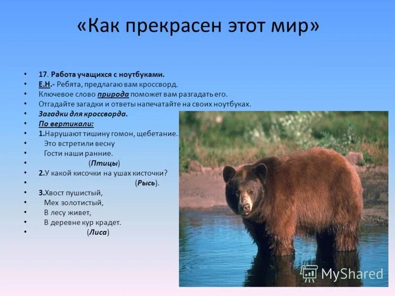 загадки про красную книгу. загадки про животных из красной книги. загадки про животных из красной книги с ответами. загадки про животных из красной книги. загадка про цветок венерин башмачок.