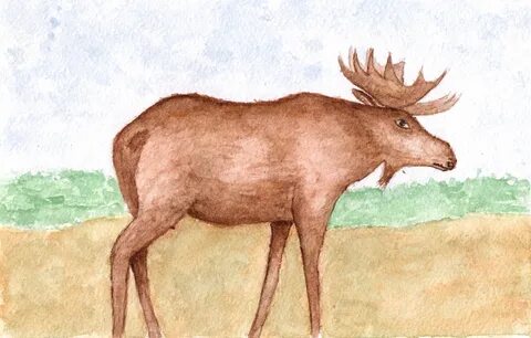 Рисунок лося
