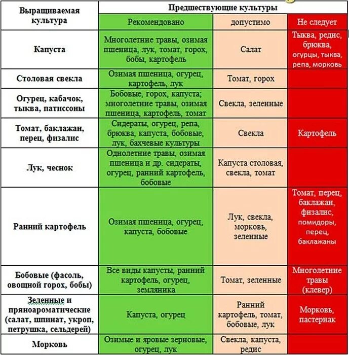 Что можно посадить на место
