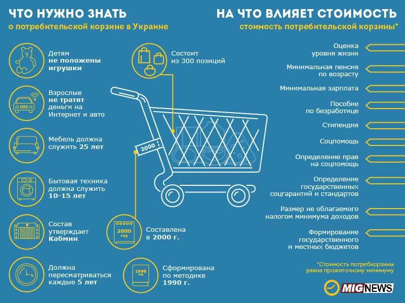 Потребительская корзина инфографика. Из чего состоит продуктовая корзина. Потребительская корзина пенсионера. Список минимальной корзины. Продуктовая корзина состав